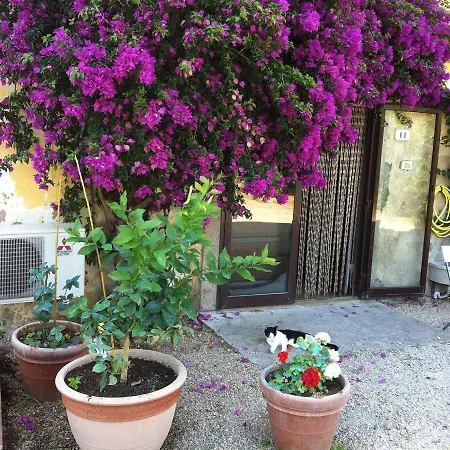 Monolocale In D'epoca דירה קאפוליברי